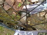 IMG-20130812-WA0007.jpg