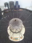 20130815_112224.jpg