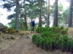 Foto6.JPG