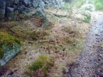 Foto28.JPG