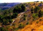 DSCF1687.JPG