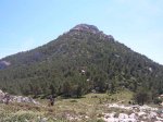 DSCN0191.JPG