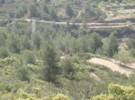 imagen 123_2.jpg