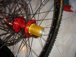 DSC00906.JPG