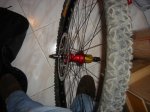DSC00908.JPG