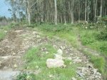 S2010008.JPG