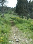 S2010013.JPG