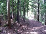 foto1.jpg