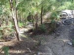 foto10.jpg