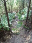 foto13.jpg