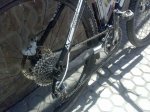 IMG-20130816-WA0009.jpg