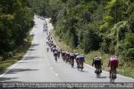 eneco13st6-line.jpg