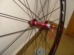 DSC05759.JPG