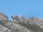 IMG_2186.jpg