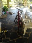 2013-08-08 11_00_30.jpg