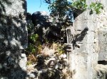 2013-08-16 11_46_48.jpg