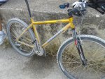 20130817_100825.jpg