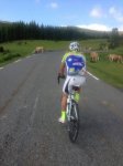 vacas.jpg