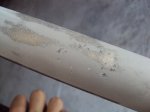 DSC02798.JPG