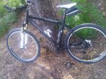BICI.jpg