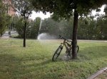 2013-08-22-849.JPG
