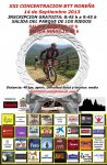Cartel final DarÃ­o.jpg