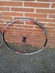 20130822_130411.jpg