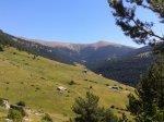2013-08-21 12.17.35.jpg