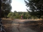 2013-08-24-856_01.JPG