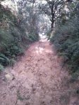 IMG-20130825-WA0006.jpg