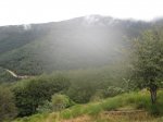 IMG_1510.JPG