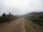 IMG_1505.JPG