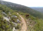 DSC_0014.jpg