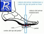 Diagrama-pie-ciclismo.jpg
