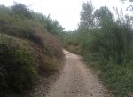 DSC_0033.jpg