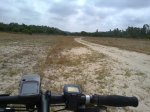 do&#241;ana.jpg