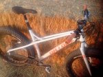 IMG_20130827_204137.jpg