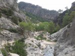 20130827_131643.jpg
