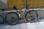 IMAG0272 comp.JPG