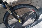 IMAG0277 comp.JPG