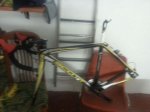 IMG-20130827-WA0002.jpg