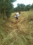 IMG-20130826-WA0001-REDUCED.jpg