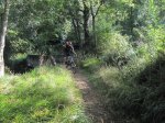 IMG_0889.JPG