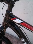 bici33.jpg