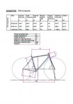 Copia de TCR Composite.jpg