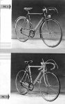 cat1951L.jpg