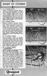 cat1951R.jpg