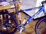 btt HU 479.jpg