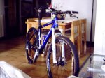 btt HU 482.jpg