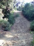 SanCarlos 2.jpg